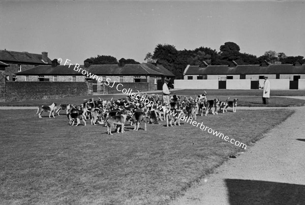 AT JIGGINSTOWN KENNELS